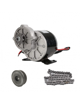 Motor Eléctrico 250w 12v DC Brushed Polea , Piñon y Cadena