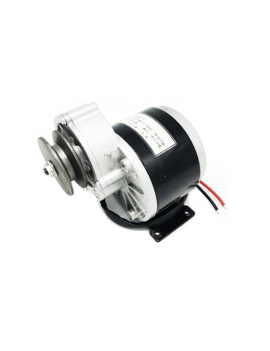 Motor Eléctrico 250w 12v DC Brushed Polea , Piñon y Cadena