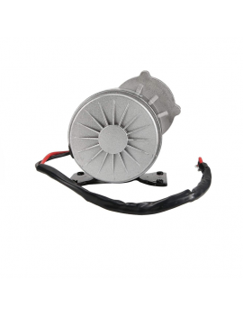 Motor Eléctrico 250w 12v DC Brushed Polea , Piñon y Cadena