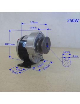 Motor Eléctrico 250w 12v DC Brushed Polea , Piñon y Cadena