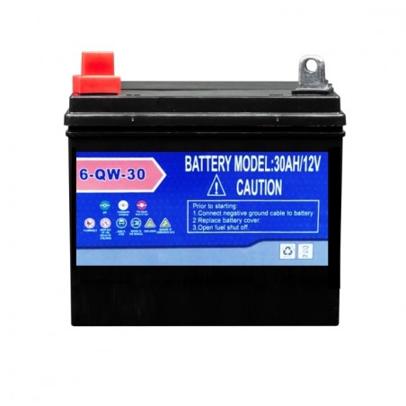 Bateria 30A/h-12V Generadores Diesel y Maquinarias