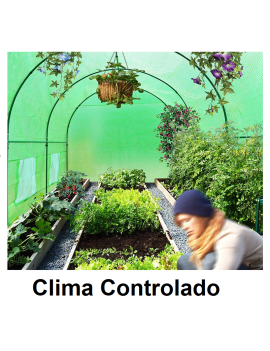 Invernadero de 56 metros cuadrados