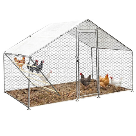 Gallinero Acero Galvanizado 300x200x195cm (6m2) escalera