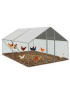Gallinero Acero Galvanizado 400x300x195cm (12m2) escalera y doble techo