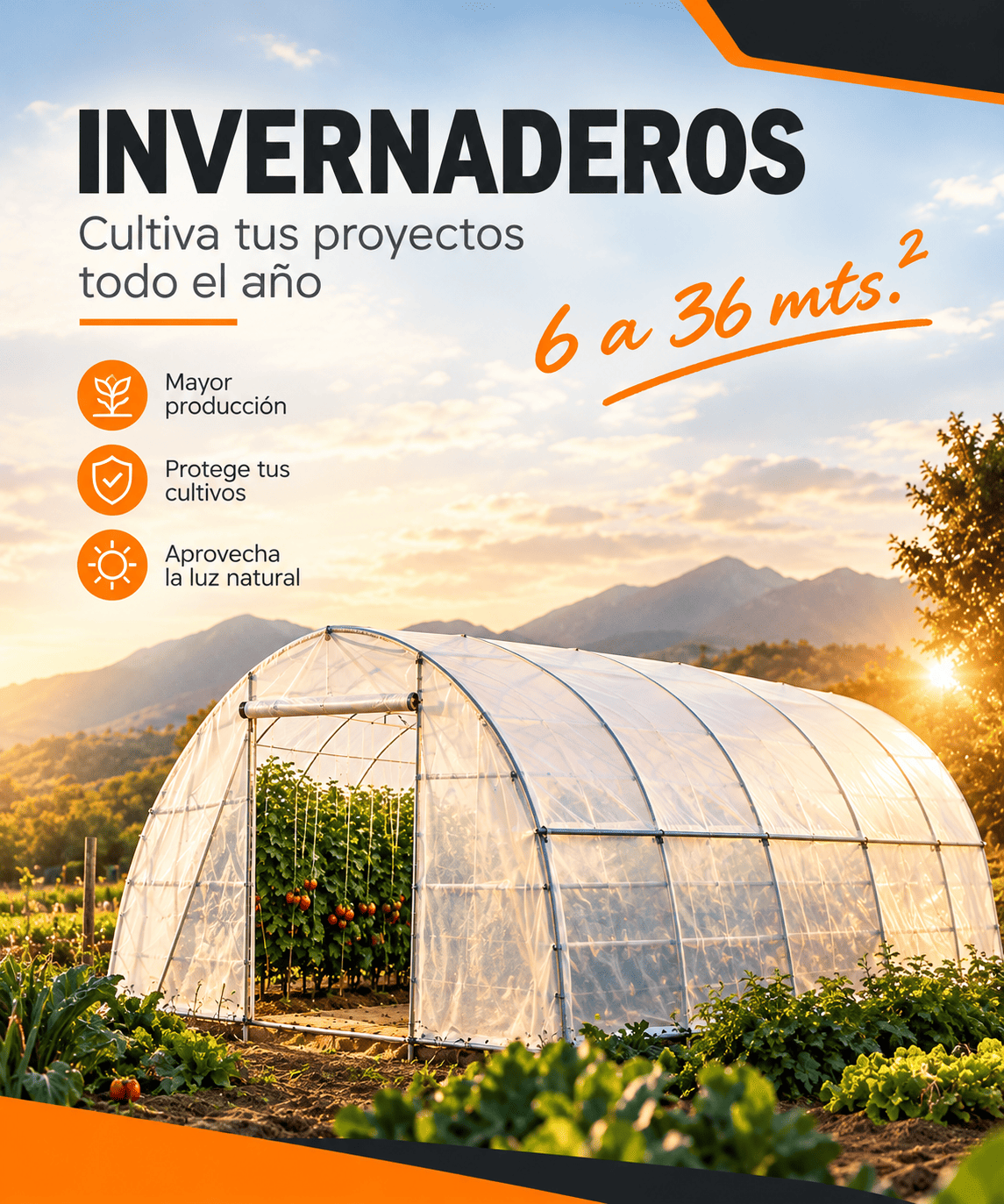 invernaderos.png